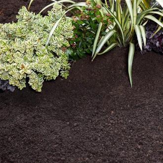 ProBlend Premier Gold Topsoil