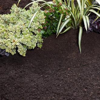 ProBlend Multi-purpose Soil