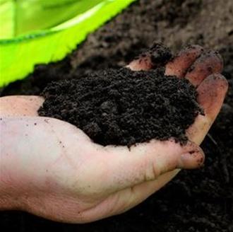 ProBlend Soil Improver