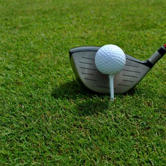 Top Tee Turf - 1 Metre Sq Rolls