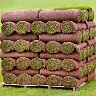Pro Turf Hard Wearing Turf - 1 Metre Sq Rolls
