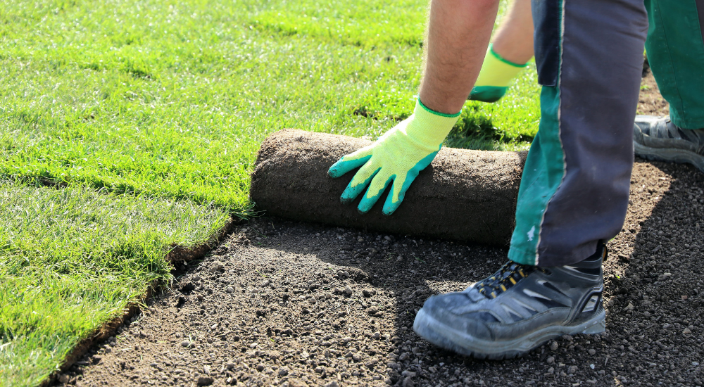 Turf laying outlet